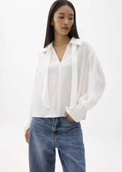 Crinkled Sheer Collared Blouse