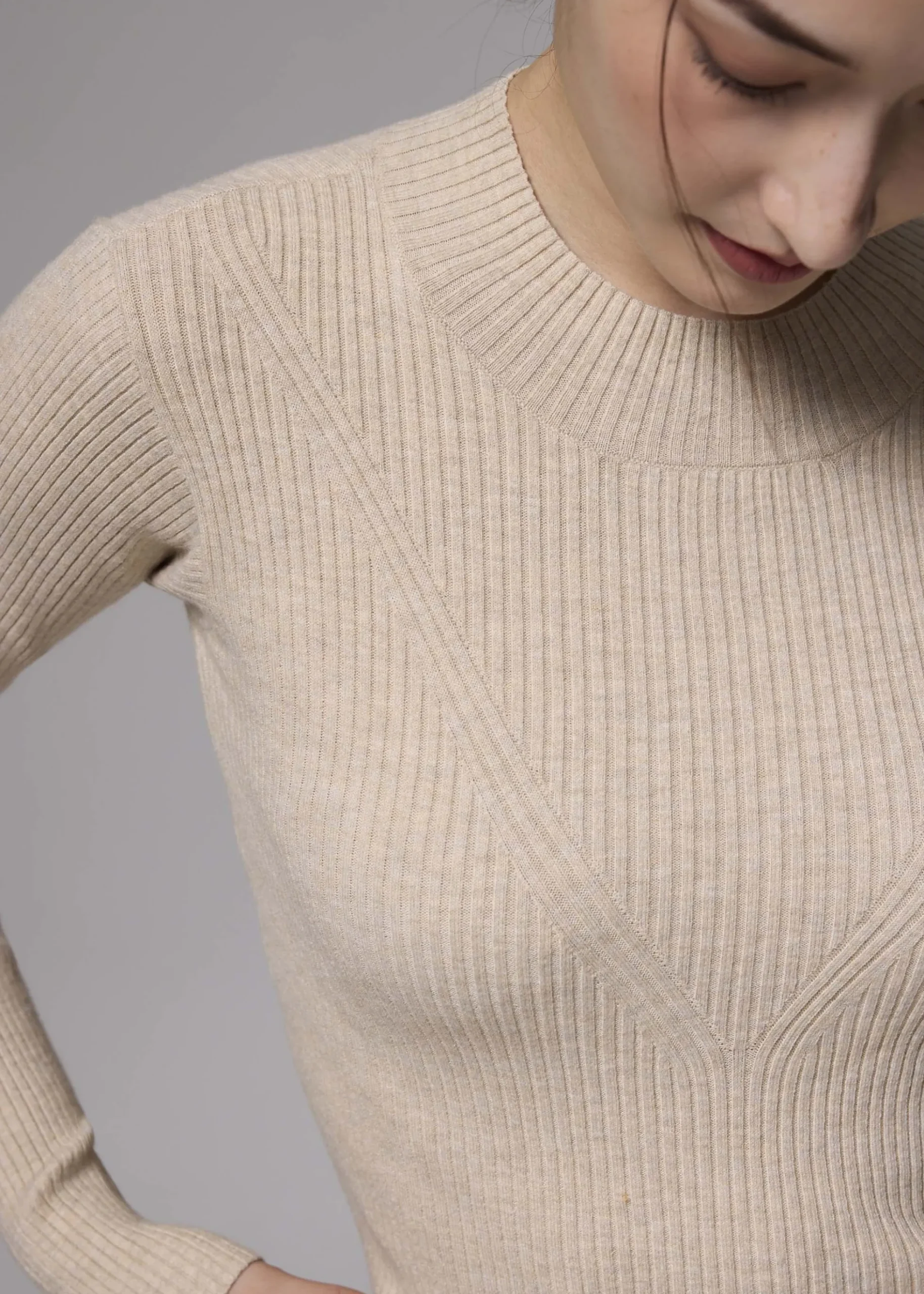 Knit Round Neck Fitted Crop Sweater
