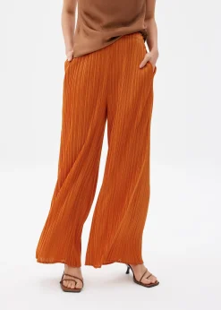 Leggy™ Anh Plissé Wide Leg Pants