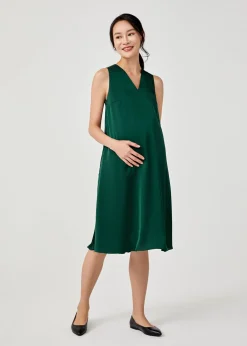 Novah Maternity Nursing Pleat Back Midi Dress