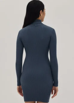 Shaina Knit Bodycon Dress