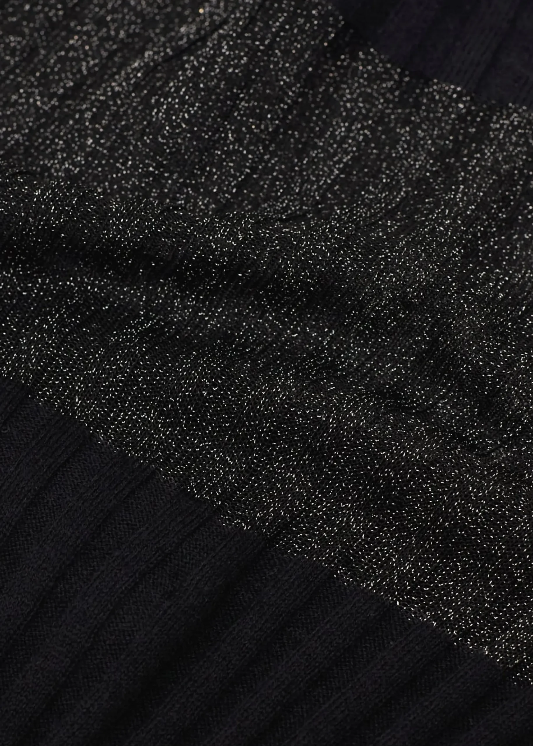 Sheer Glitter Ribbed Knit Top