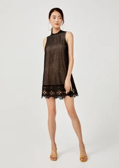 Tenley Lace Overlay Dress