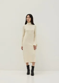 Turtle Neck Flare Sleeve Knit Dress