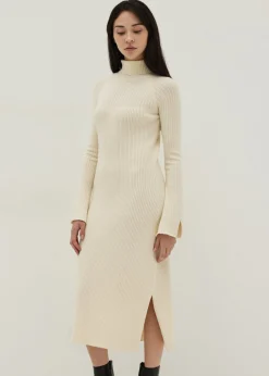 Turtle Neck Flare Sleeve Knit Dress