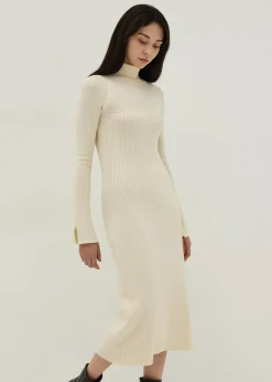 Turtle Neck Flare Sleeve Knit Dress