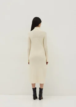 Turtle Neck Flare Sleeve Knit Dress