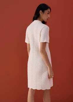 Wavy Knit Collared A-Line Mini Dress