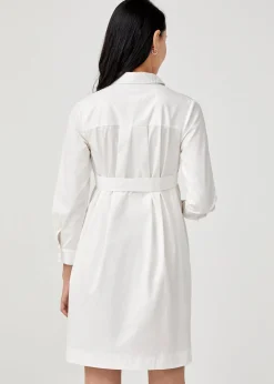 Zuriea Maternity Pleat Back Shirt Dress
